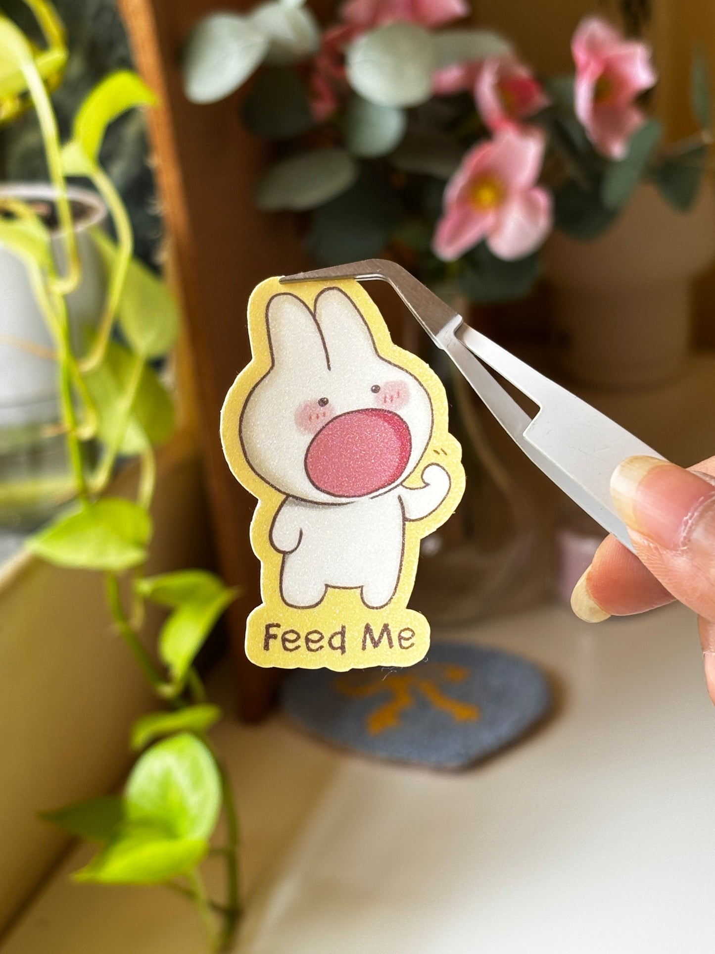 Feed me