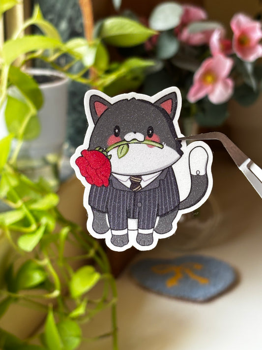Tom cat