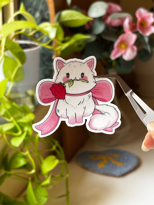 Lady cat